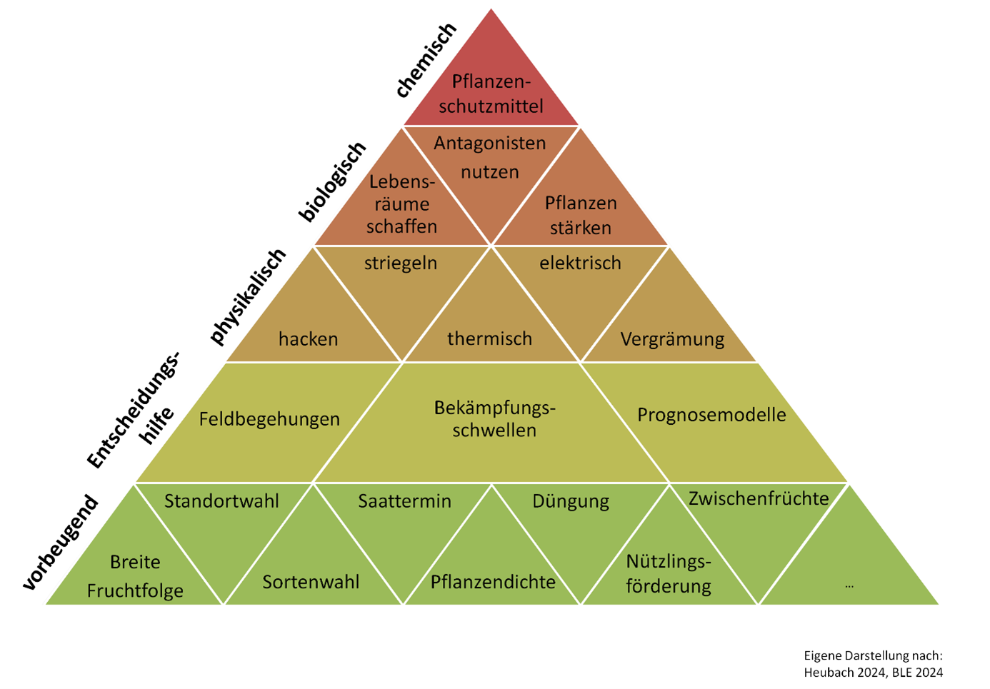 20250130_IPS_Pyramide